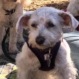 Meet your Posher, Jo